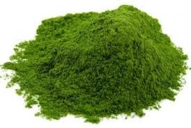 Organic Air Dried Spinach powder